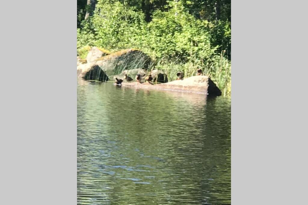 Vacker Hus I Naturen Froseke Экстерьер фото